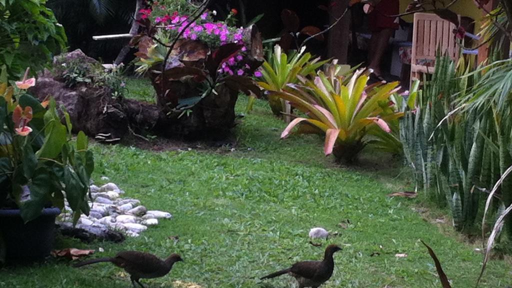 Pousada Varanda Do Sol Porto Seguro Eksteriør bilde